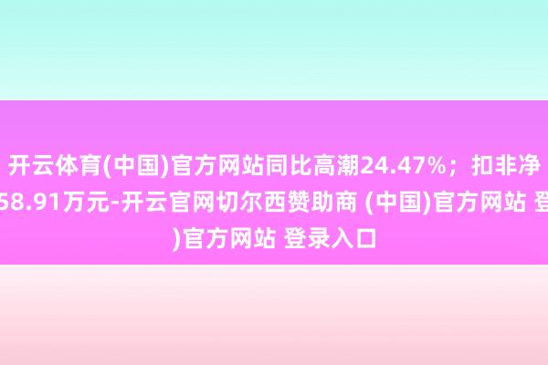 开云体育(中国)官方网站同比高潮24.47%；扣非净利润-558.91万元-开云官网切尔西赞助商 (中国)官方网站 登录入口