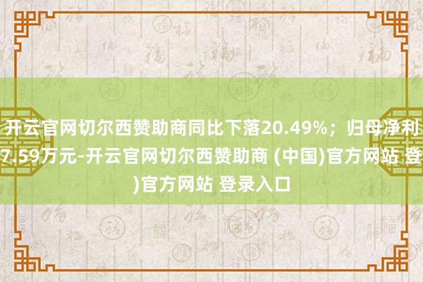 开云官网切尔西赞助商同比下落20.49%;归母净利润5237.59万元-开云官网切尔西赞助商 (中国)官方网站 登录入口