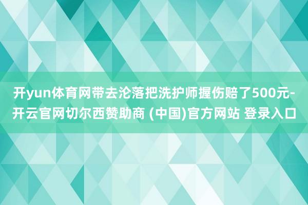 开yun体育网带去沦落把洗护师握伤赔了500元-开云官网切尔西赞助商 (中国)官方网站 登录入口