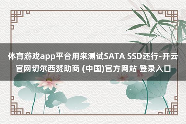 体育游戏app平台用来测试SATA SSD还行-开云官网切尔西赞助商 (中国)官方网站 登录入口
