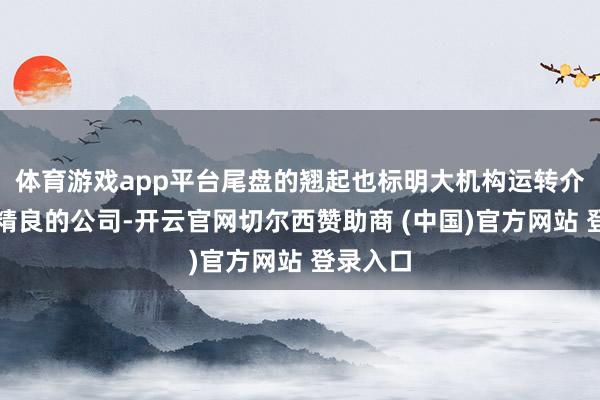 体育游戏app平台尾盘的翘起也标明大机构运转介入事迹精良的公司-开云官网切尔西赞助商 (中国)官方网站 登录入口