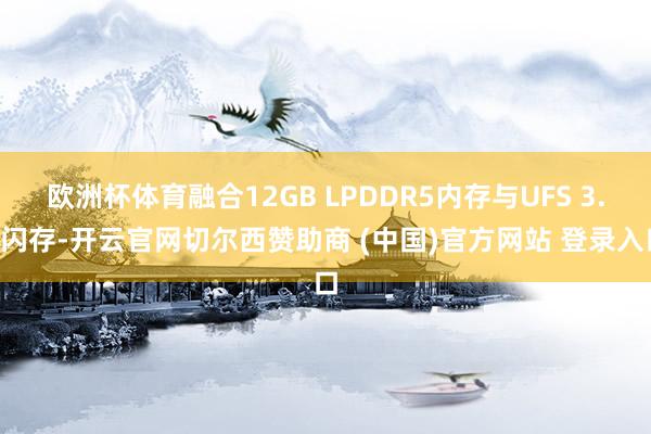欧洲杯体育融合12GB LPDDR5内存与UFS 3.1闪存-开云官网切尔西赞助商 (中国)官方网站 登录入口