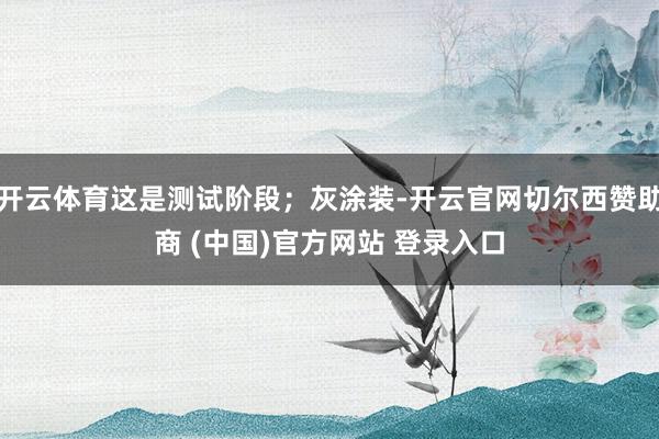 开云体育这是测试阶段；灰涂装-开云官网切尔西赞助商 (中国)官方网站 登录入口