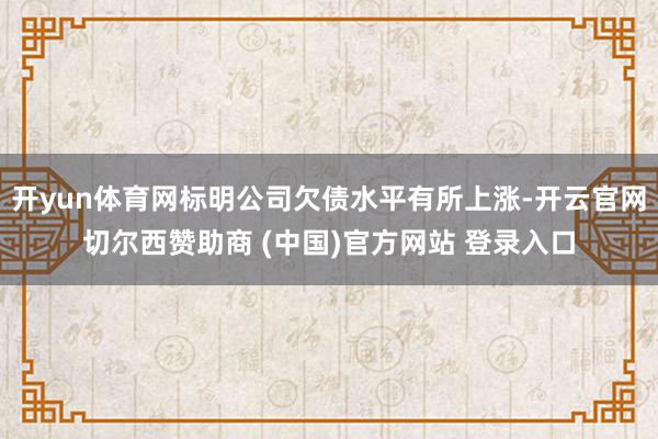 开yun体育网标明公司欠债水平有所上涨-开云官网切尔西赞助商 (中国)官方网站 登录入口
